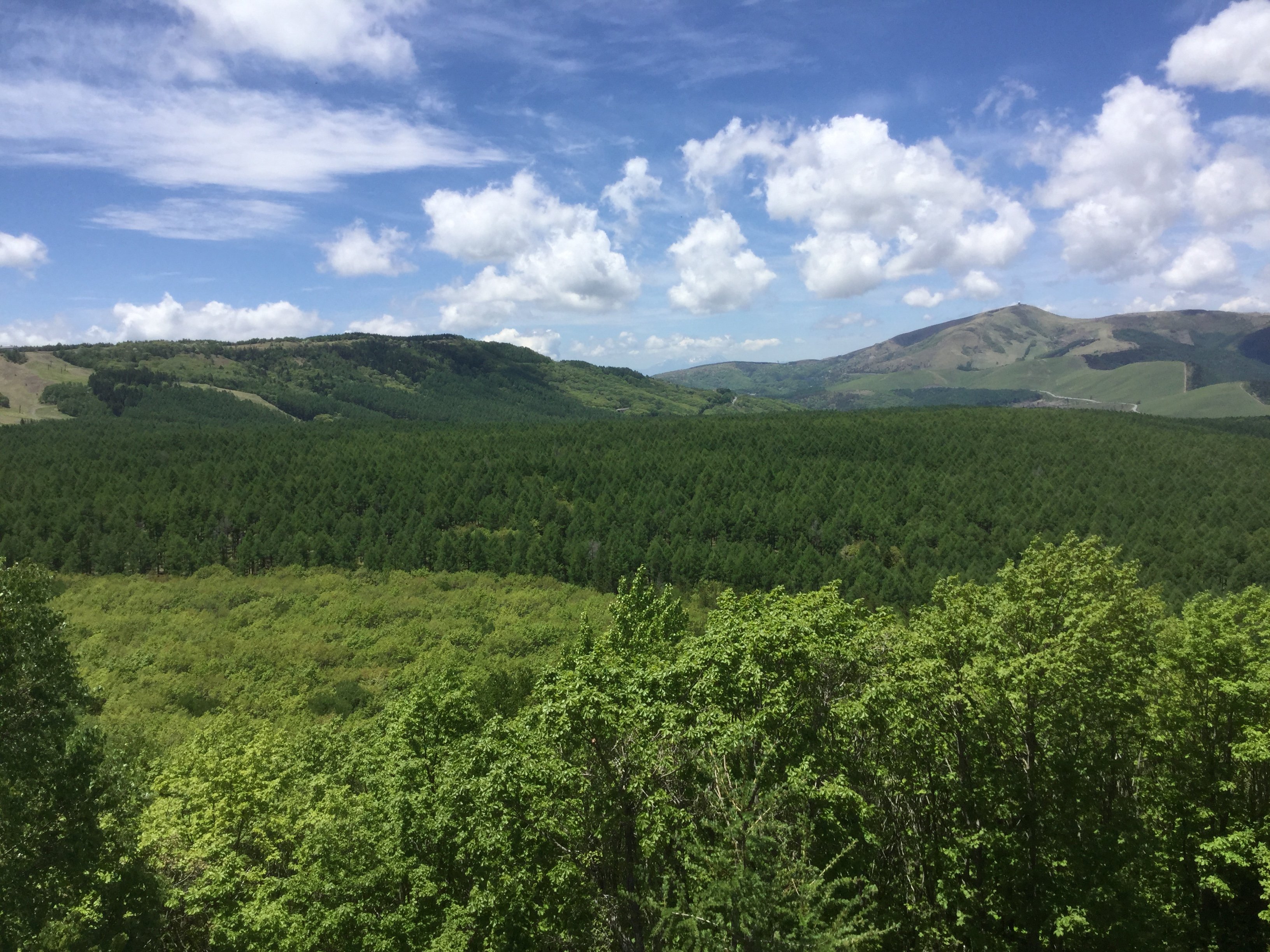 Environment